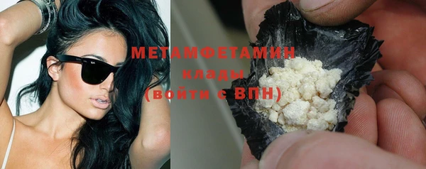 прущие грибы Лабытнанги