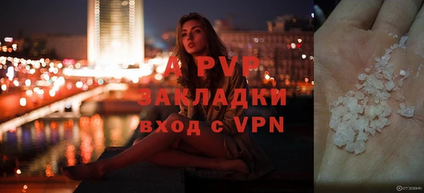 ГАЛЛЮЦИНОГЕННЫЕ ГРИБЫ Нестеровская