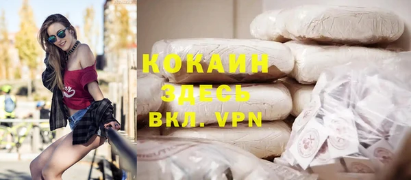 дживик Лагань