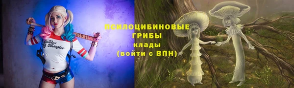 гидропоника Калининец