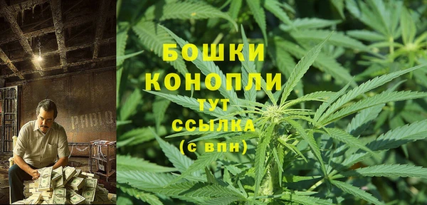 дживик Лагань