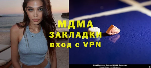 прущие грибы Лабытнанги