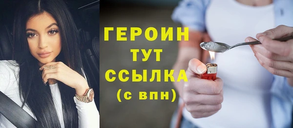 прущие грибы Лабытнанги