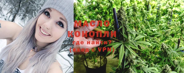 дживик Лагань