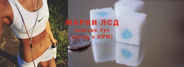 прущие грибы Лабытнанги