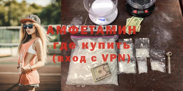 прущие грибы Лабытнанги