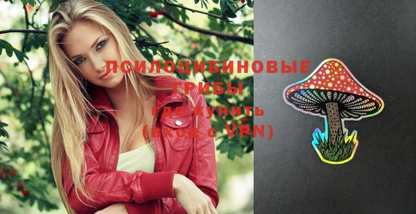 прущие грибы Лабытнанги