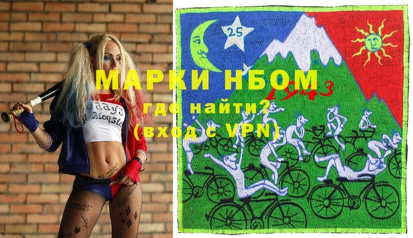 прущие грибы Лабытнанги