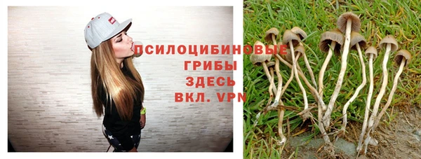 гидропоника Фёдоровский