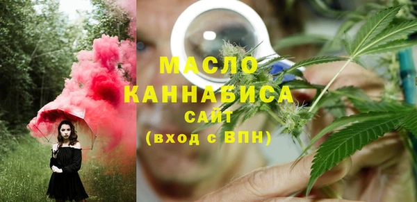 прущие грибы Лабытнанги