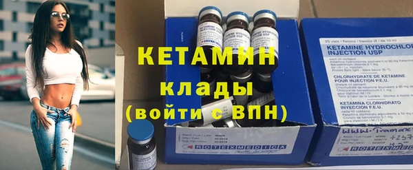 прущие грибы Лабытнанги