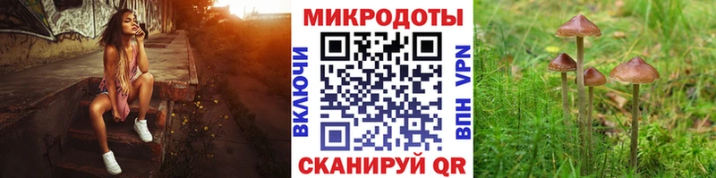 Галлюциногенные грибы GOLDEN TEACHER  Купить  Минусинск 